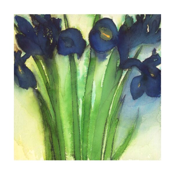 Sue Bent | Irises