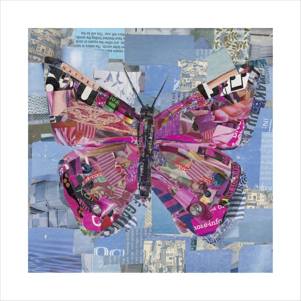 Hilary Wilson | Dark Pink butterfly
