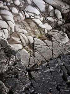 Stuart Rowen