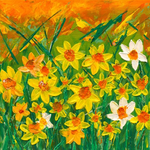HP_ART86 | Daffodils