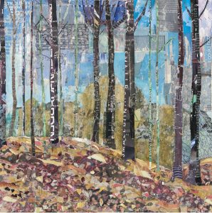Autumn Forest Z Hilary Wilson
