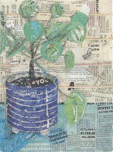 Chinese Money Plant | Hilary Wilson