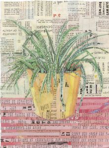 Hilary Buckland | Spider Plant