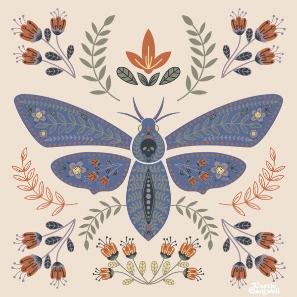 Carrie Cantwell | Death's Head Moth