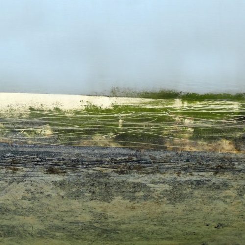 Rani Rai | Snow Tracks on Grass