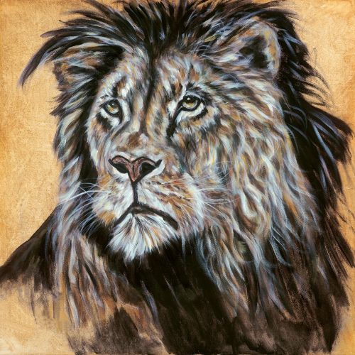 AM First Lion Low Res Web