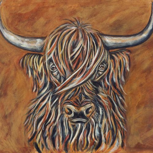 AM Highjland Cow Low Res web