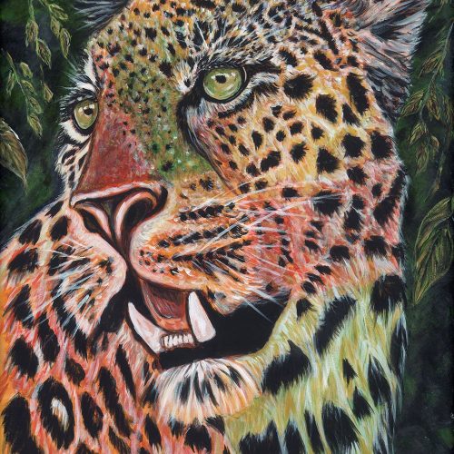AM Leopard Low Res Web