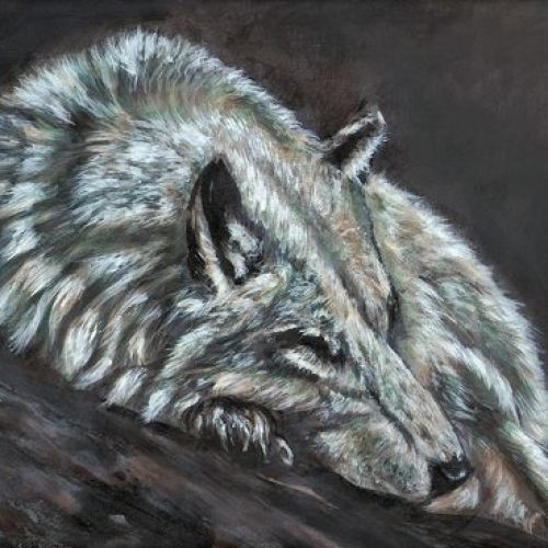 AM Wolf Low Res Web