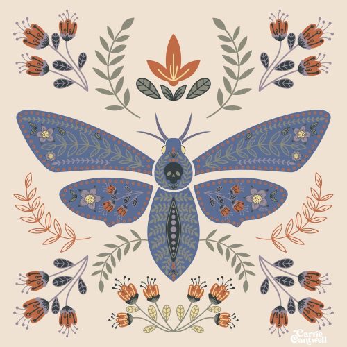 CarrieCantwell_DeathsHeadMoth