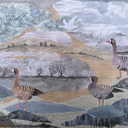 F6IZUze6lrWf-A2-Whitefronted-Geese-Copy-Copy-Copy-scaled-1