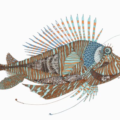 Guy Chapman | Lion Fish