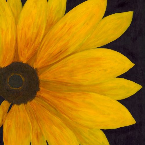 PH Sunflower Low Res for Web