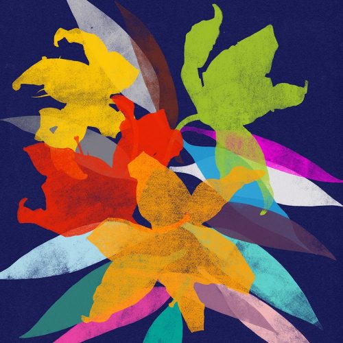 PQ5ohyG2xI60-lily-11-sq-fb