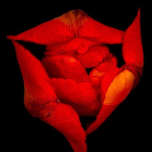 SxEYILrHQzB4-The-Sacred-Whirl_A-ratio_web