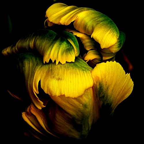 xkQaHWTgFX8H-The_Unfolding_square_web
