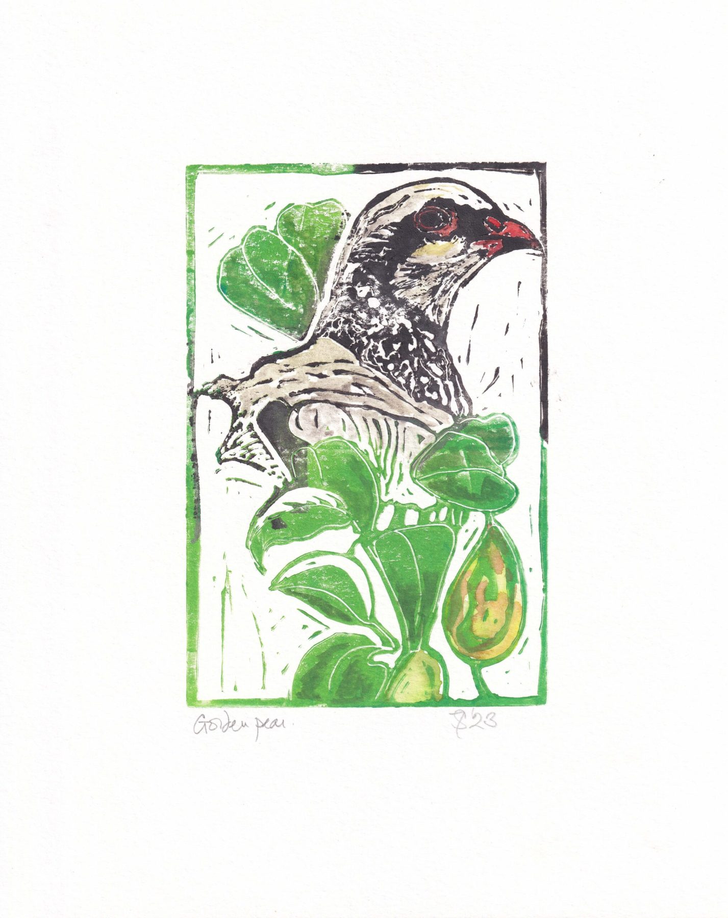 Sue Townsend | Golden Pear