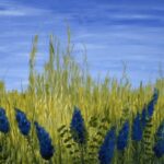 Colour, Nature, Painting & Textiles