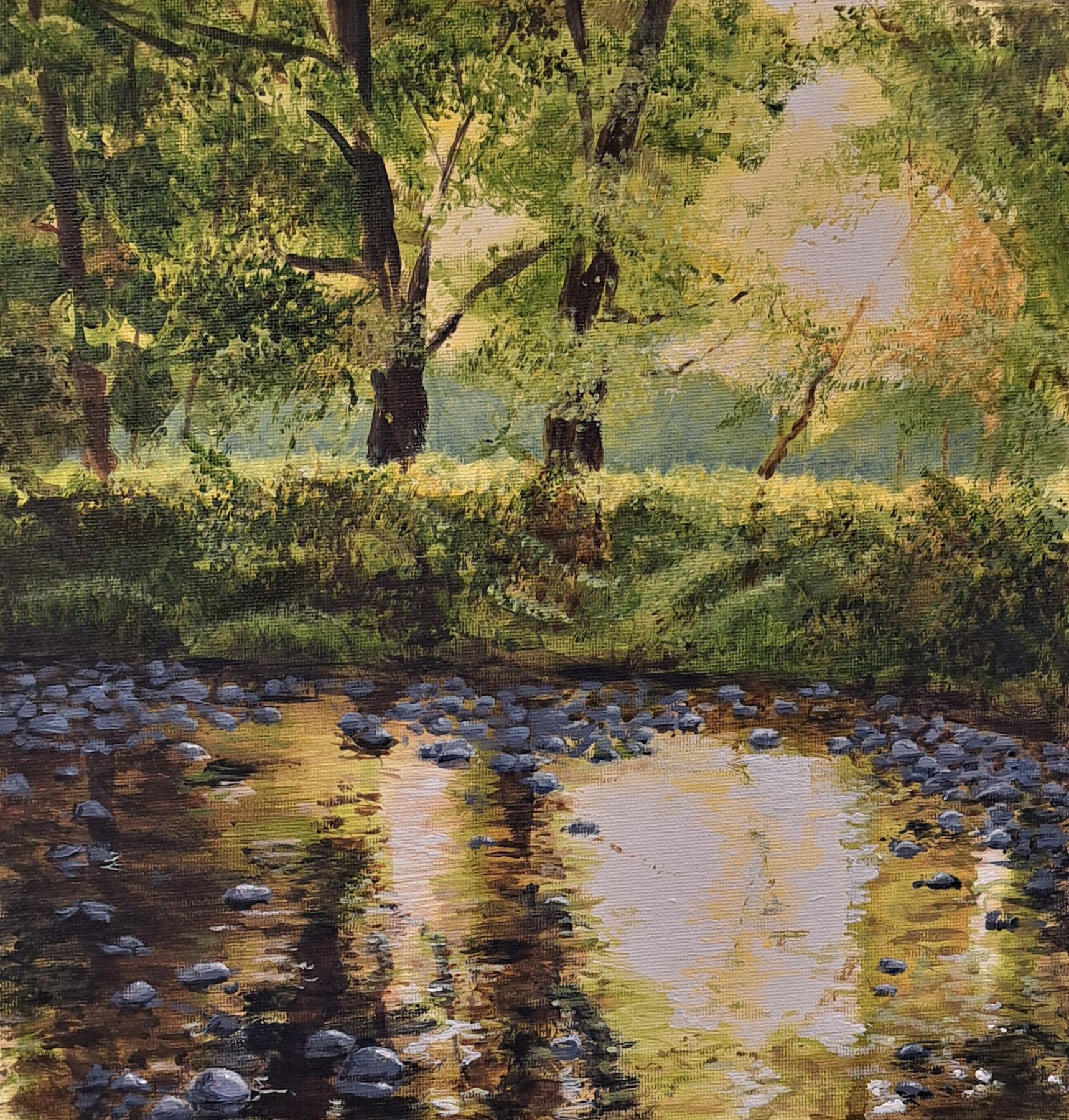 Jacky Buckingham | Across the Shallows