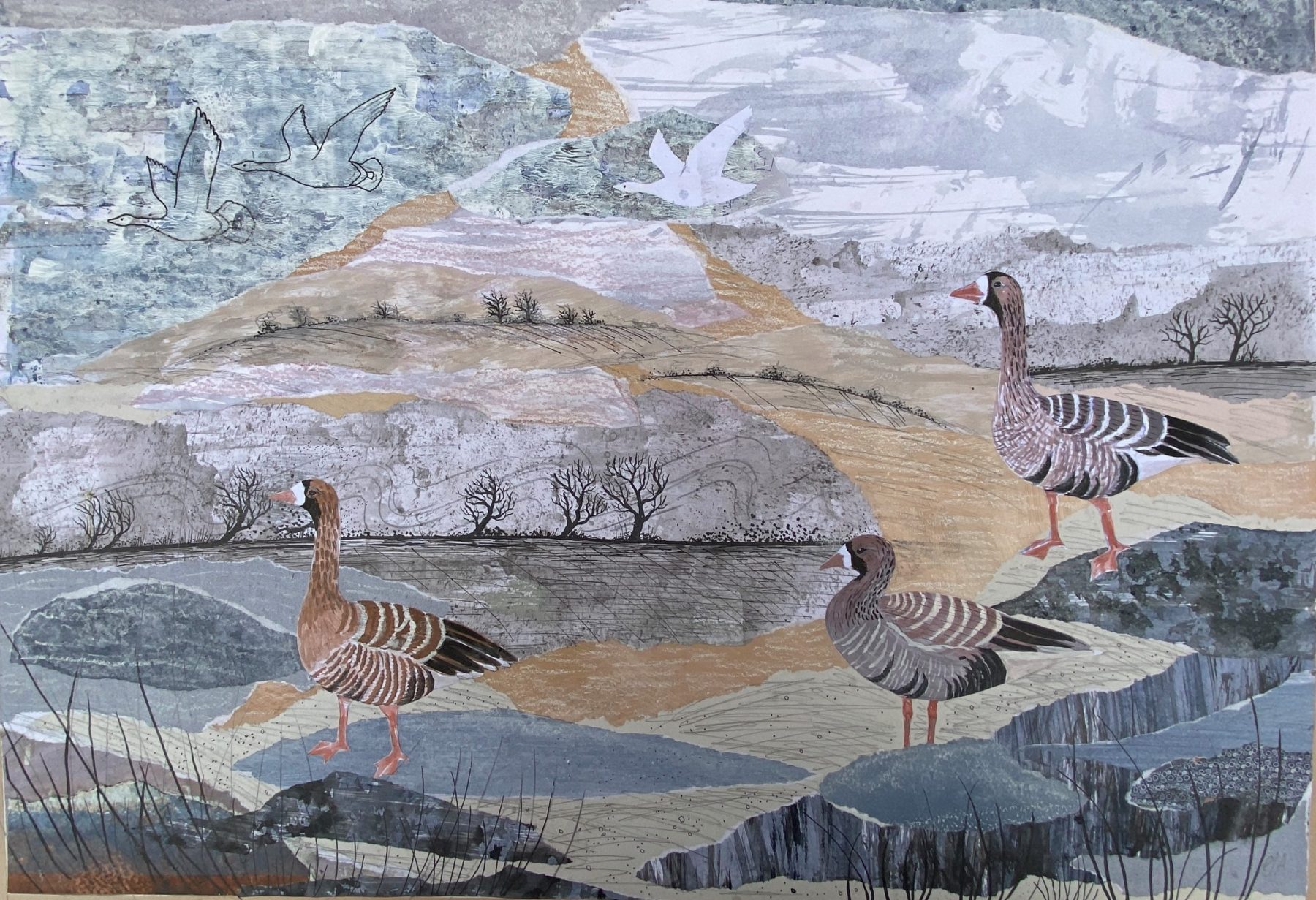 Eleanor Allitt | Whitefronted Geese