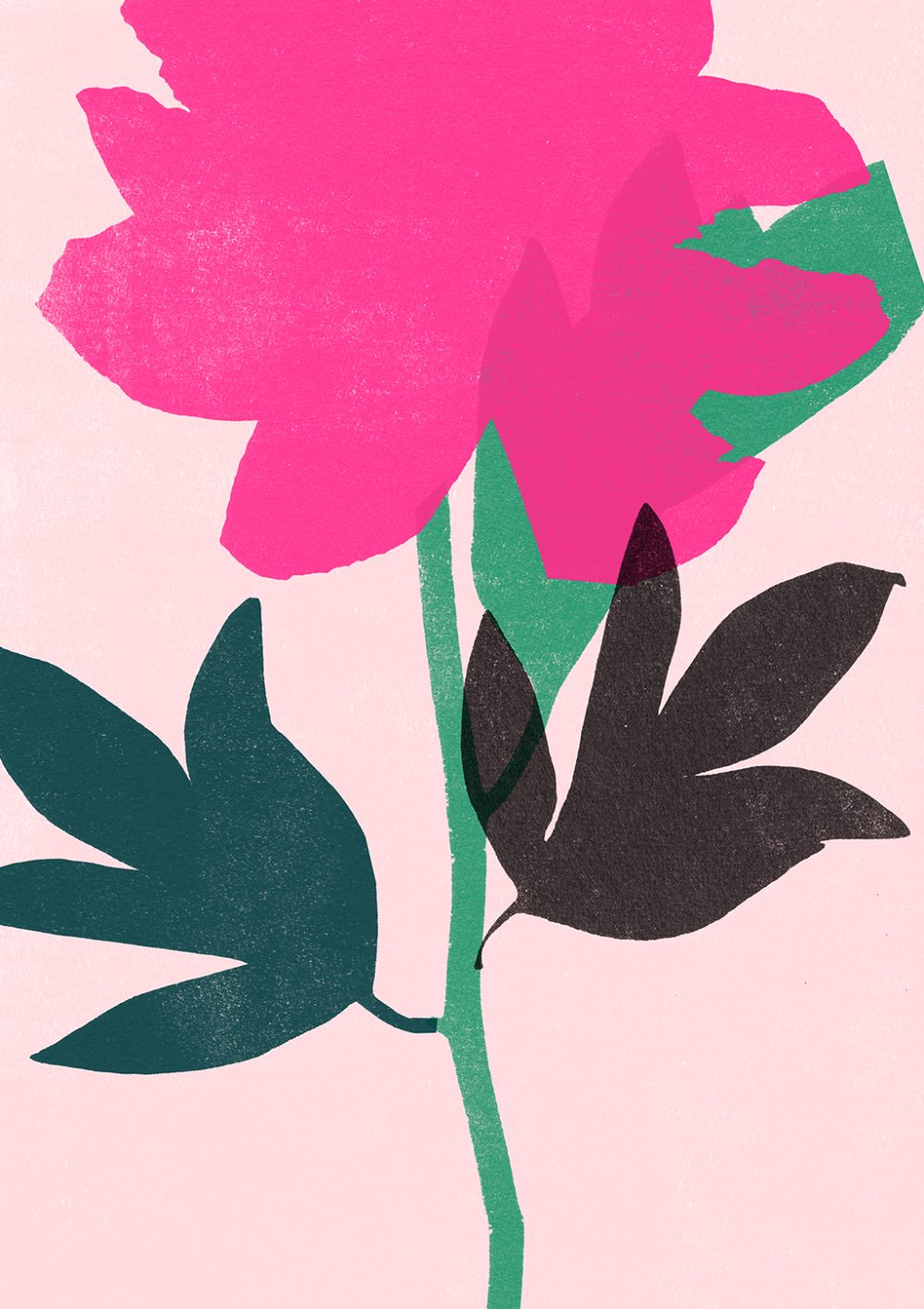Garima Dhawan | Peony 7