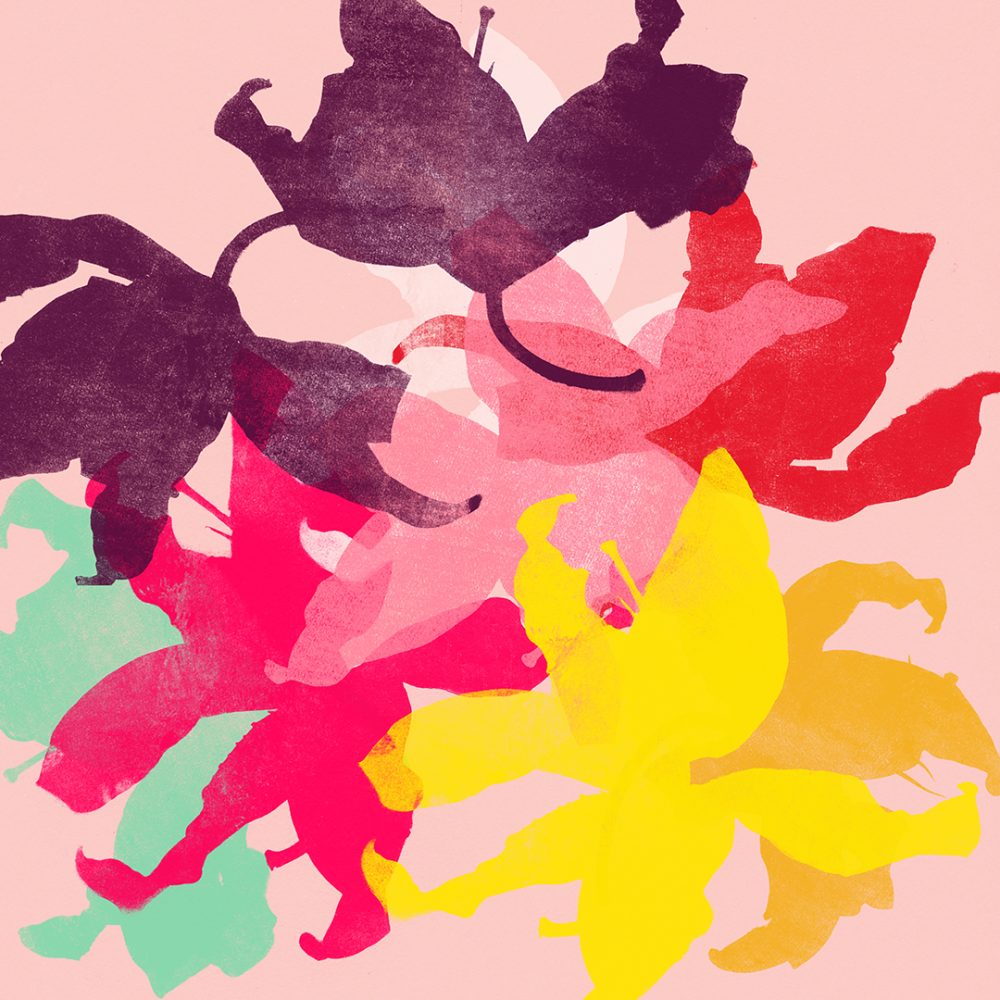Garima Dhawan | Lily 10
