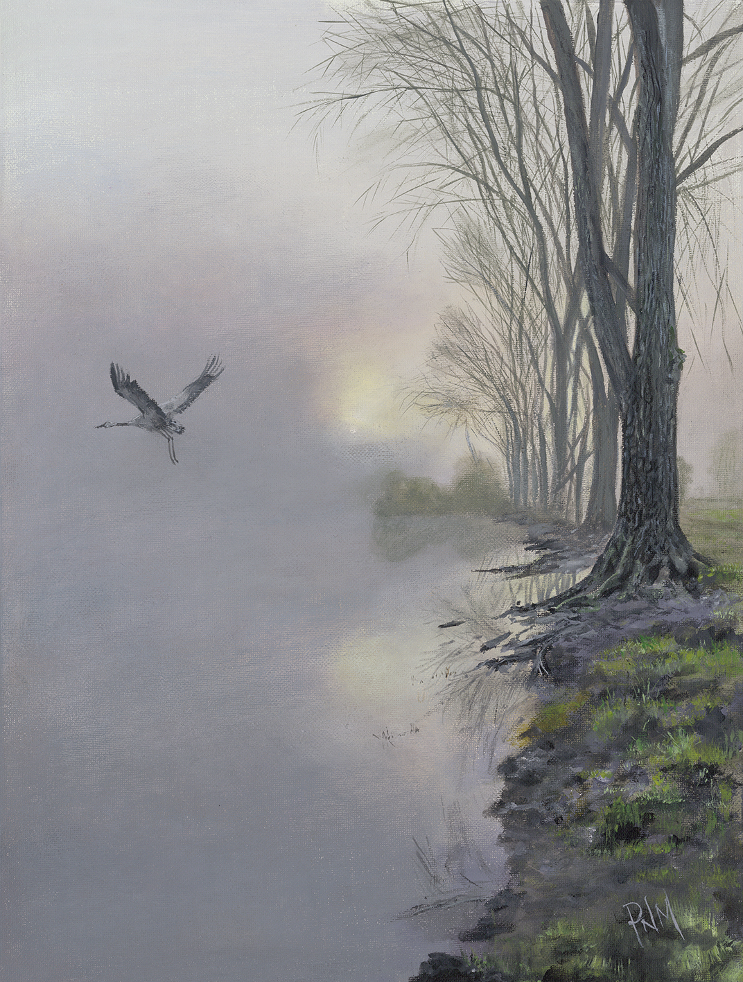 Paul Morgan | Silent Peace